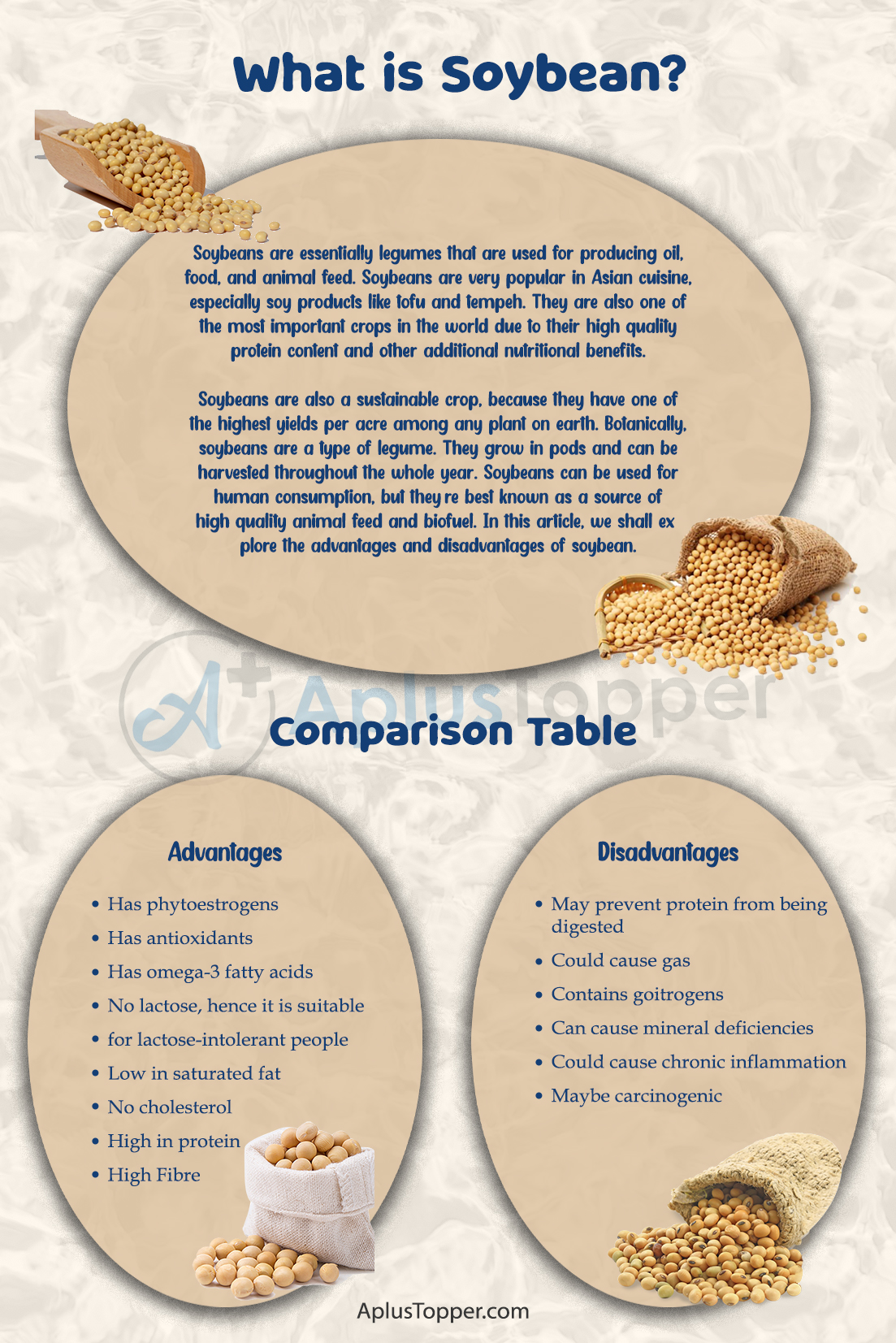 Advantages and Disadvantages of Soybeans 1