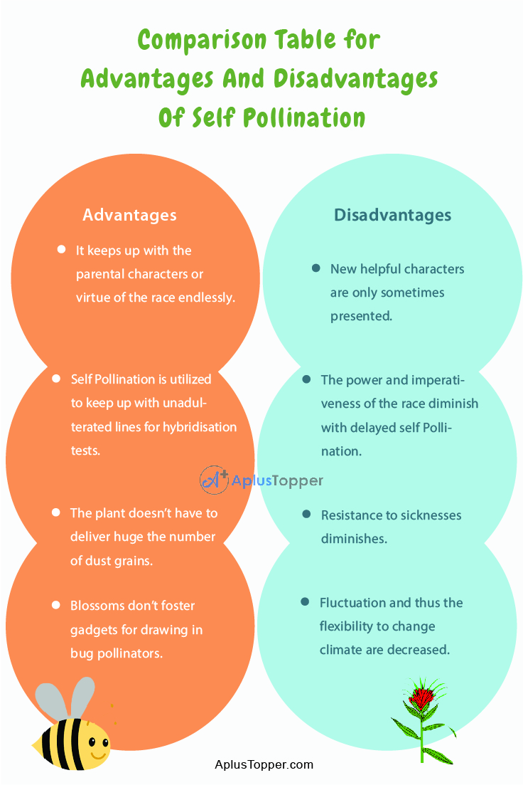Advantages And Disadvantages of Self Pollination 2