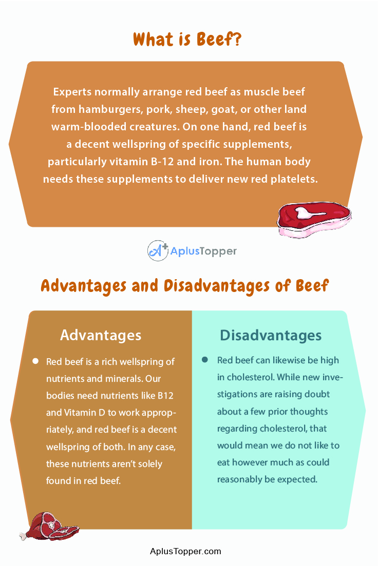 Beef Advantages And Disadvantages 1
