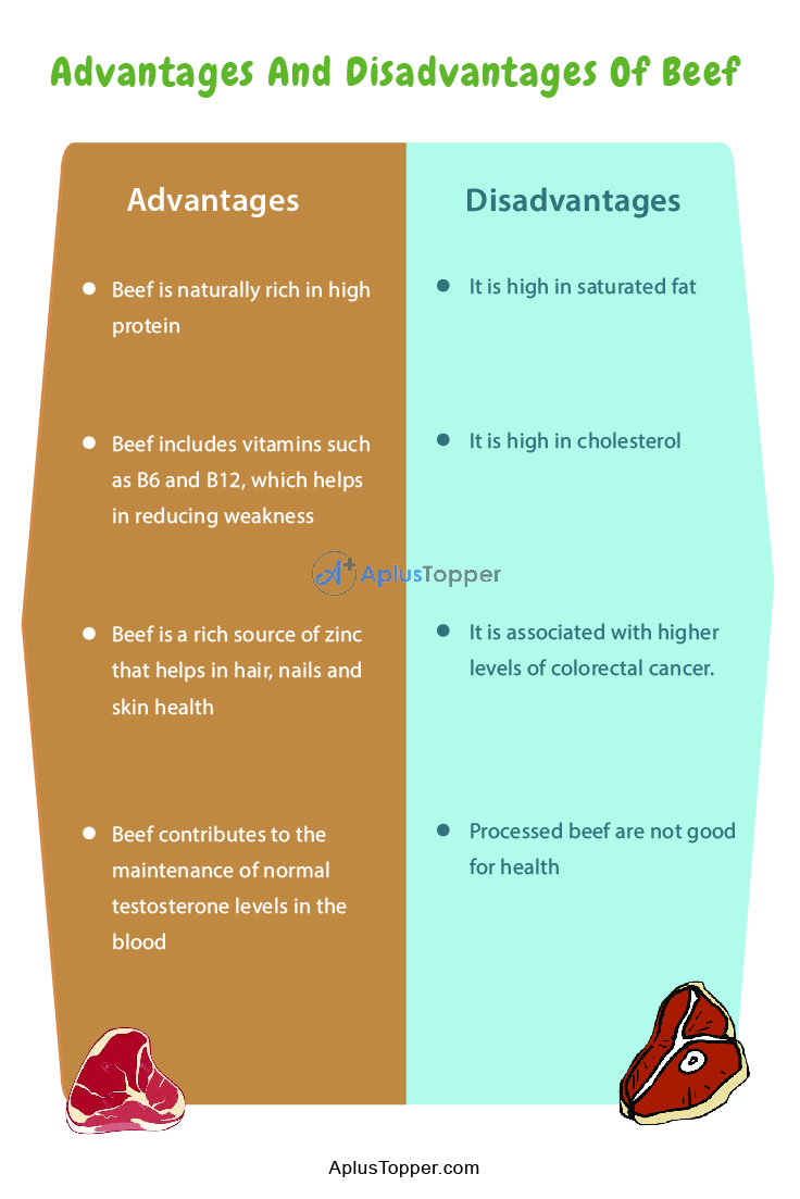 Beef Advantages And Disadvantages 2