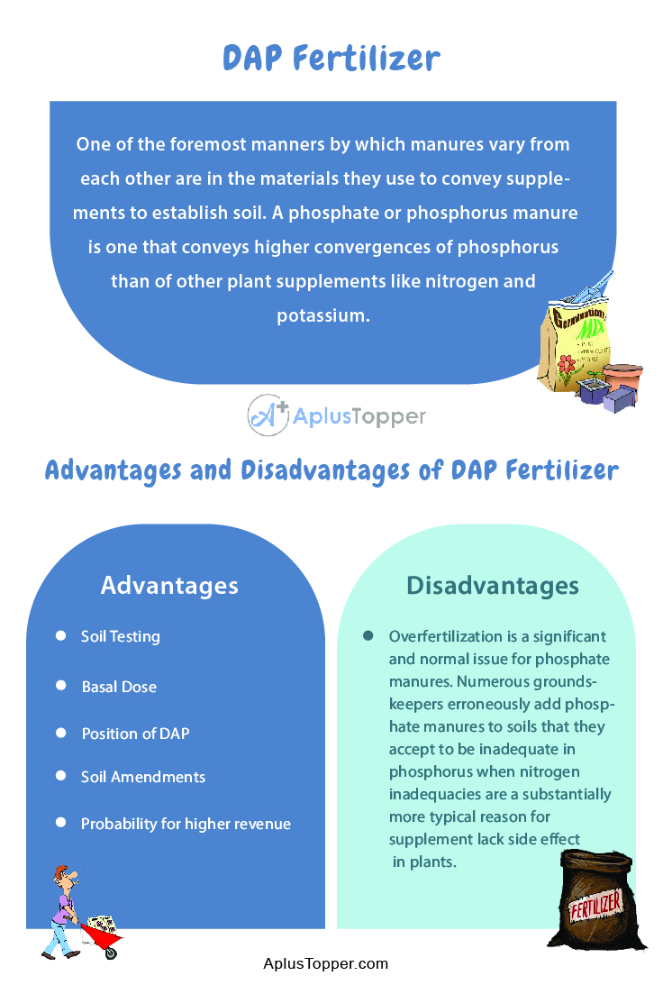 DAP Fertilizer Advantages And Disadvantages 1