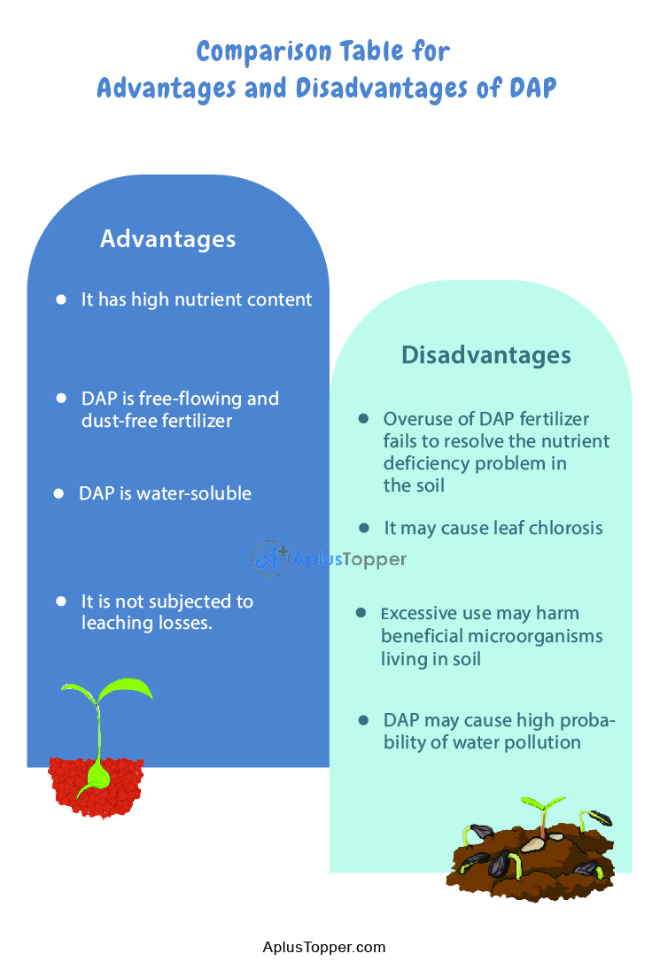 DAP Fertilizer Advantages And Disadvantages 2