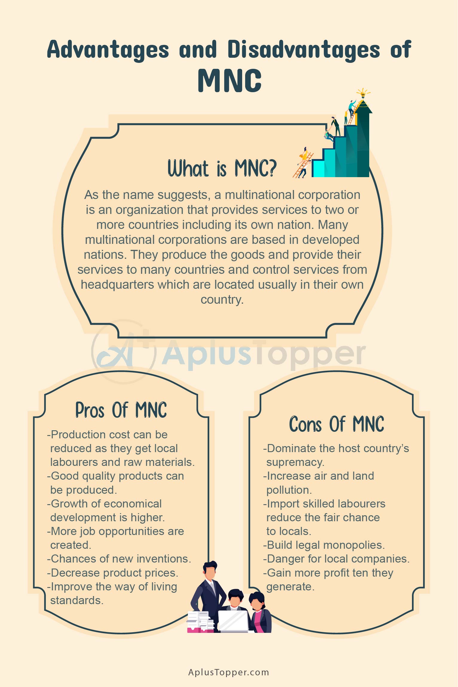 organisational structure of mnc in india
