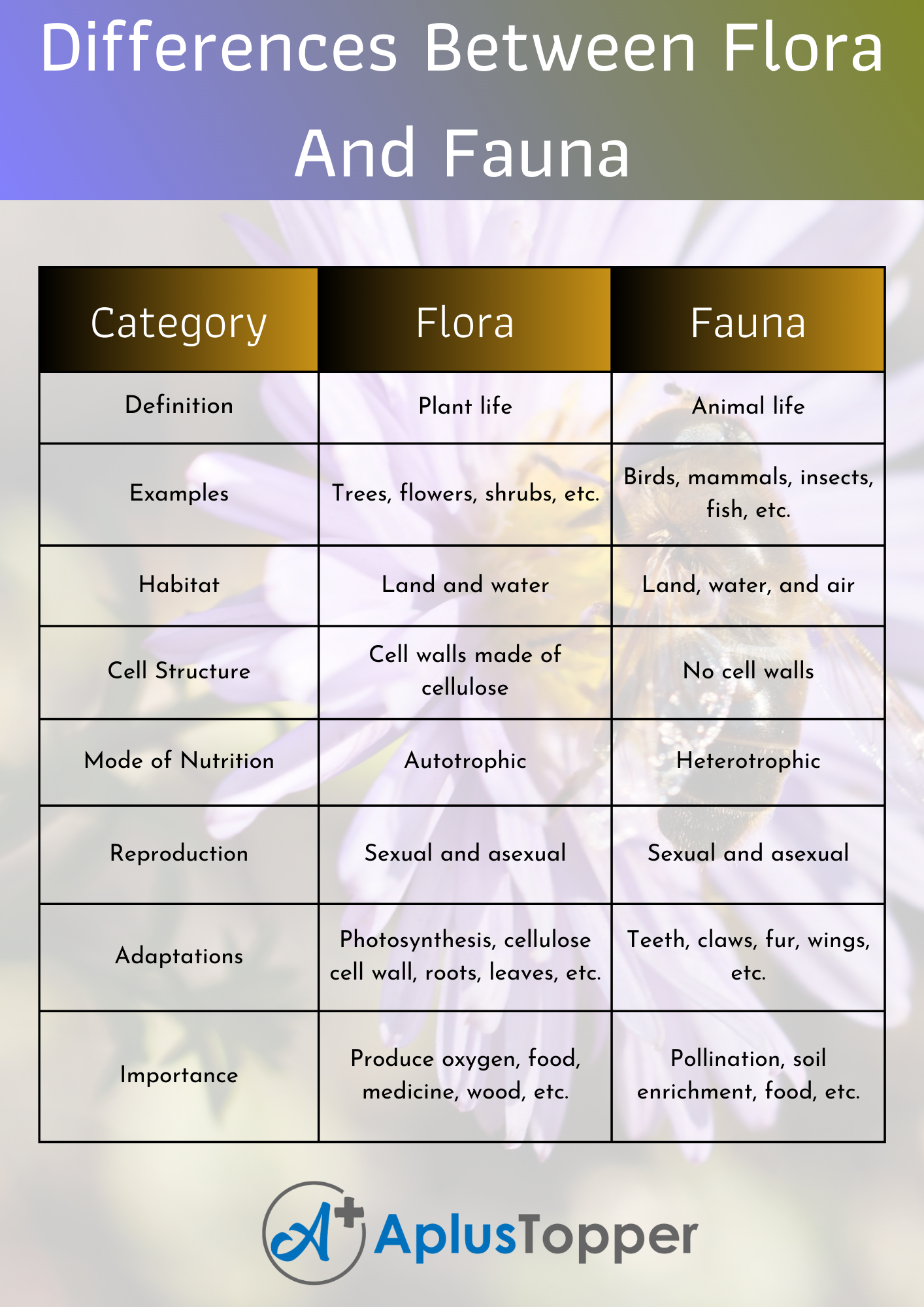 Differences Between Flora And Fauna