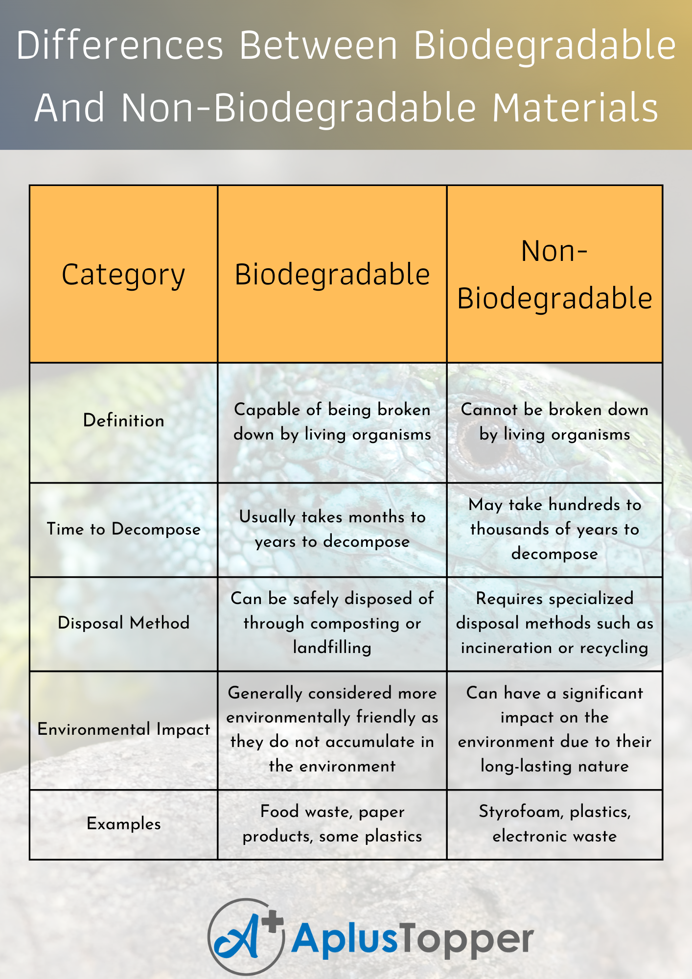 Key Differences Between Biodegradable And Non-Biodegradable Materials