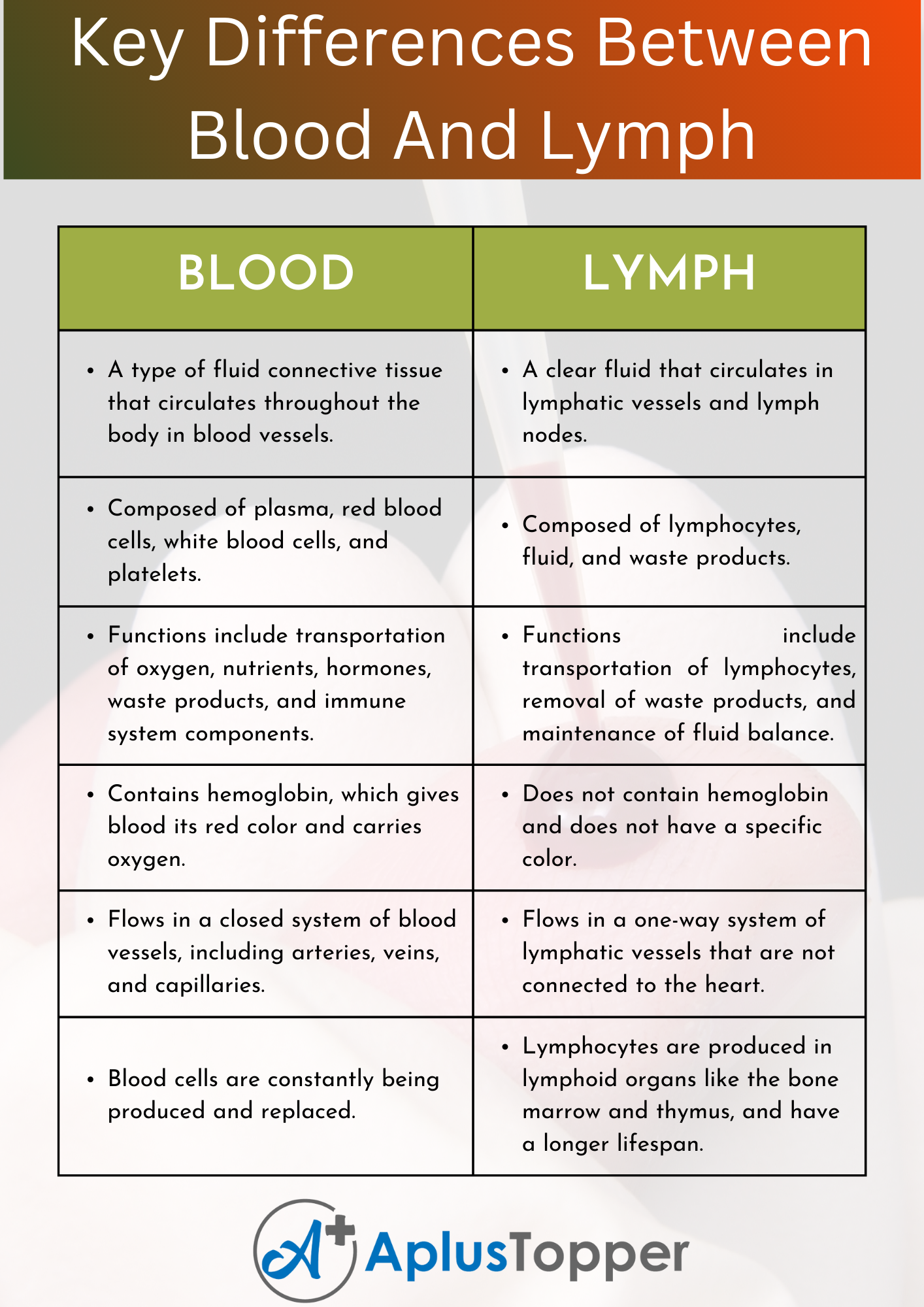 Key Differences Between Blood Lymph