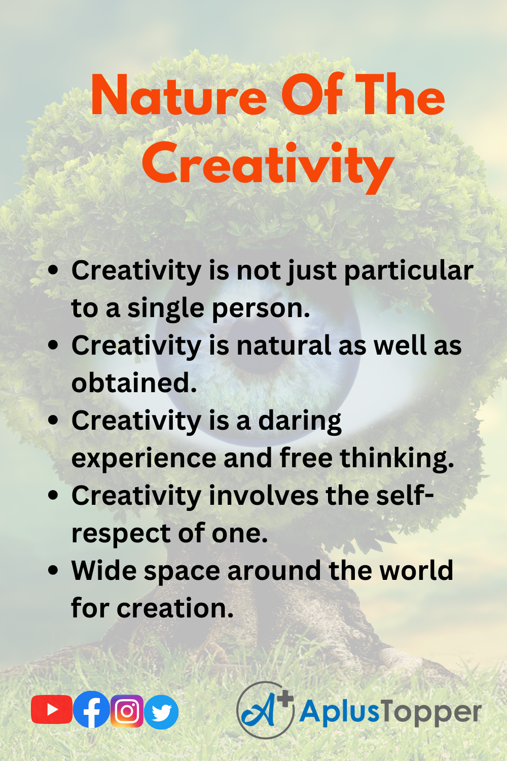 Nature Of The Creativity