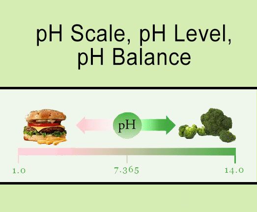 importance of ph in everyday life images
