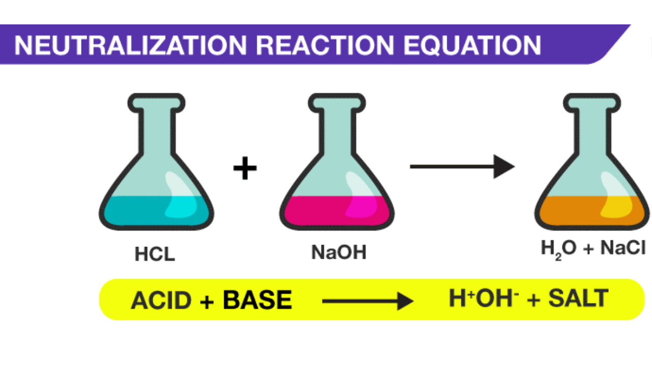 What happens in a neutralization reaction